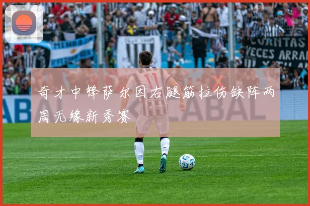 奇才中锋萨尔因右腿筋拉伤缺阵两周无缘新秀赛