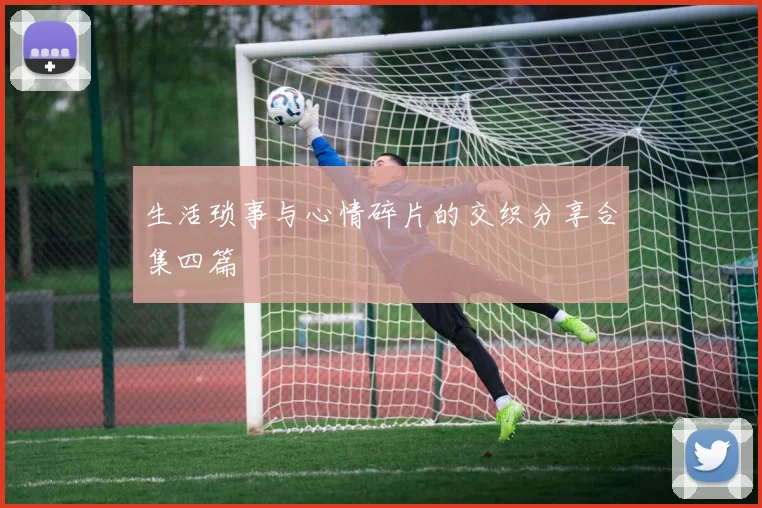 生活琐事与心情碎片的交织分享合集四篇
